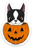 Boston terrier vinyl Halloween sticker, boston terrier stickers, boston terrier gift, dog stickers, Halloween stickers, Pumpkin sticker