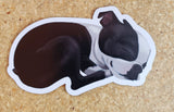 Boston terrier vinyl magnet, Sleepy boston terrier