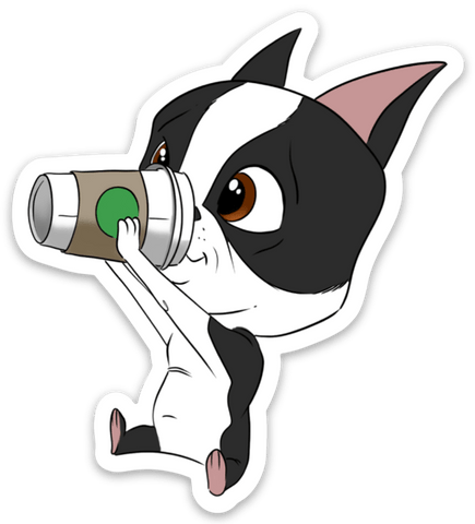 Boston terrier drinking coffee vinyl sticker
