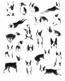 Boston terrier modern dog art print