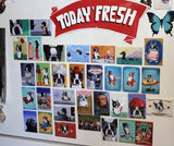 Boston terrier gift, Boston Terrier Tiera hat cute dog art magnet, boston terrier fridge magnet, Boston terrier dog art