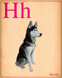 Husky gift, Dogs A-Z, Husky art, Husky wall art print, wall decor, dog art print