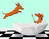 Dachshund Bath Time, dachshund gifts, dachshund lovers, dachshund art print, wall decor, bathroom art wall art print