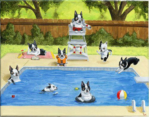 Boston Terrier Pool Party art print wall decor