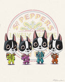 Boston terrier gift, Boston Terrier musician, sgt pepper, Boston Terrier lovers, boston terrier art print, wall decor, beatles