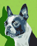 Boston Terrier Dog Art print, Boston terrier gift, Boston terrier wall decor, Boston terrier home decor, paint by number inspired