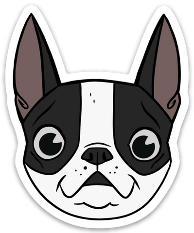 Cute Boston terrier face vinyl sticker