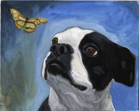 Boston terrier girt, boston terrier art, dog art print, Boston terrier PRINT from oil painting, Boston terrier decor