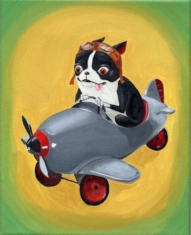 Boston Terrier in a Pedal Plane Print