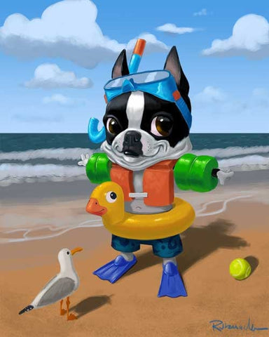 Boston terrier at the beach