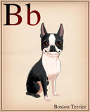 Boston terrier flash card print / Boston Terrier gifts / Boston Terrier lovers / boston terrier art print / wall decor