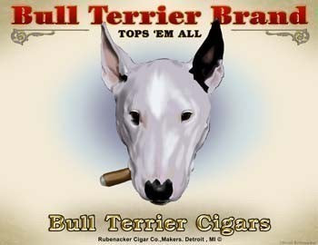Bull Terrier Cigar Label print