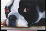 Boston Terrier magnet, boston terrier gift, sleeping boston terrier art, Boston Terrier art, Boston terrier decor