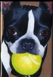 Boston terrier cute dog art magnet, boston terrier gift,boston terrier art magnet, dog breed gift