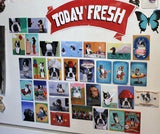 Flying Ace - Boston Terrier dog art magnet, boston terrier gift, snoopy style dog house, Boston Terrier art