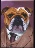 English Bulldog gift, English Bulldog Dressed cute dog art magnet, Bulldog art magnet