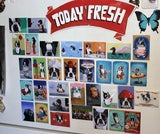 Boston Terrier magnet, boston terrier gift, rainbow bridge boston terrier lover, kitchen fridge mag, rainbow memorial