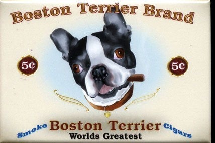 Boston Terrier Cigar Label magnet