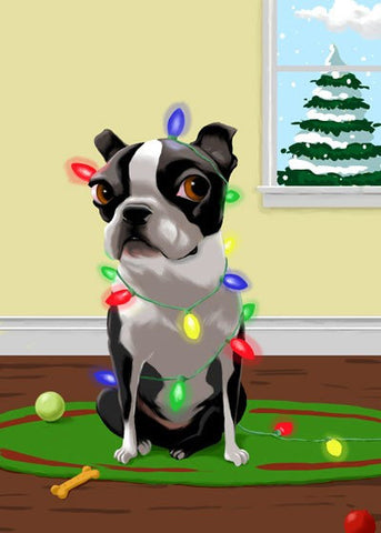 Boston Terrier gift, boston terrier art, Tangled in Christmas Lights, boston terrier wall art print