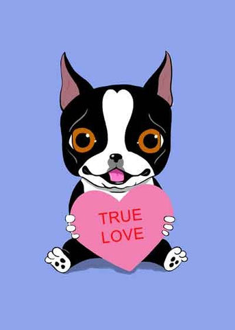 Boston Terrier Holding a Valentine Heart dog art customizable