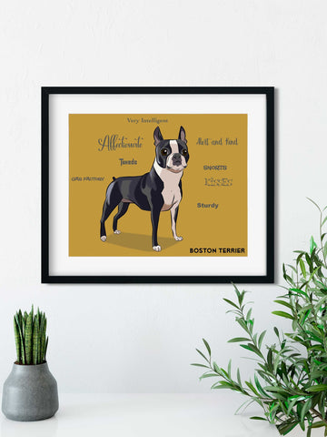 Boston Terrier traits, Boston Terrier gifts, Boston Terrier lovers, boston terrier art print, wall decor