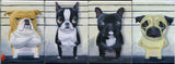 french bulldog  line up dog art magnet, frenchie gift, french bulldog art magnet, fridge art
