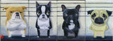 The Line Up - English Bulldog  dog art magnet, bulldog gift, bulldog dog refrigerator magnet