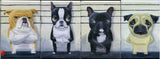 Pug  Line Up Dog Art Magnet