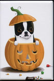 Boston terrier gift magnet, Boston Terrier Pumpkin Halloween dog art magnet, fun boston terrier art, dog lover, halloween gift