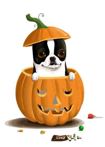 Boston Terrier Pumpkin dog art print