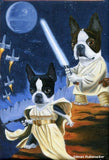 Boston Terrier Luke and Leia Terrier dog art magnet, boston terrier gift, boston terrier art, boston terrier magnet