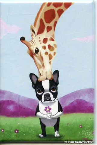 Boston Terrier gift, Boston Terrier giraffe Dog Art Magnet, dog art, Boston Terrier magnet