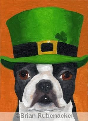 101 Boston Terriers wearing hats Number 24 Boston Terrier  dog art PRINT