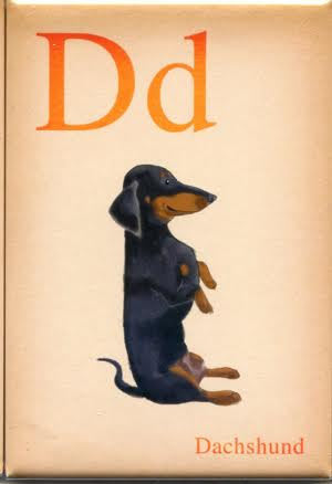 Dogs A-Z: Dachshund
