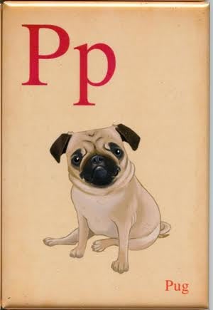 Dogs A-Z: Pug