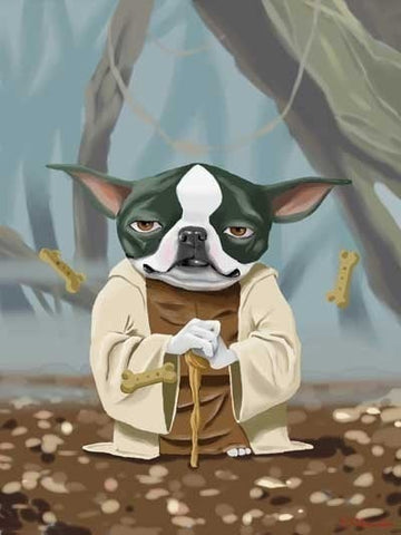 Canvas Boston Terrier Yoda