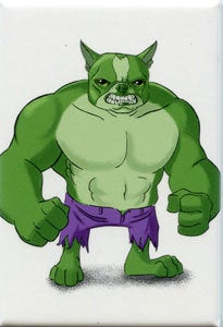 The Incredible Hulk avengers - Boston Terrier magnet